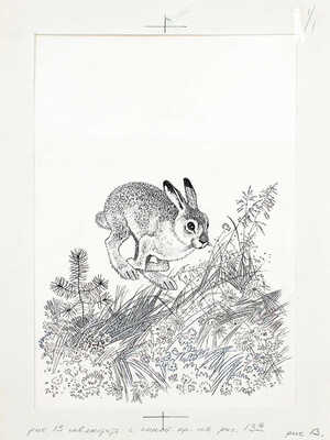 Кузнецов Леонид Трофимович. Макет из 27 иллюстраций и книга К.Д. Ушинского «Рассказы и сказки» (М.: Дет. лит., 1975)